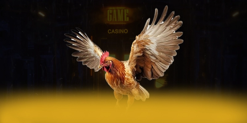 CONGA6789 - Cổng trò chơi được yêu thích 2025 – Khám phá phần thưởng khủng từ CONGA6789