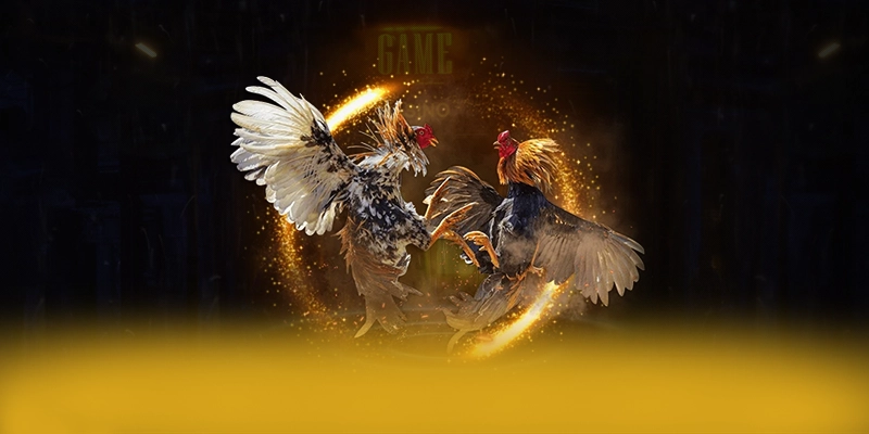 DAGA88 - Cổng giải trí được game thủ yêu thích tại Việt Nam – Tìm hiểu DAGA88