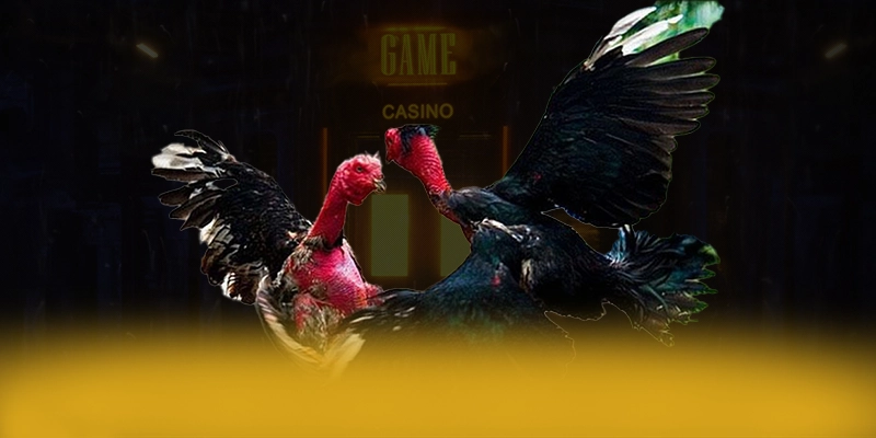 SA88 - Trang game có quà tặng đặc biệt 2025 – Săn quà và khuyến mãi hot từ SA88 SA88 - Trang game có quà tặng đặc biệt 2025 – Săn quà và khuyến mãi hot từ SA88