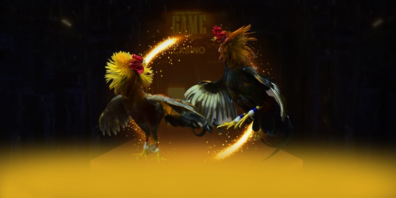 CONGA6789 - Nhận định cuối cùng từ trải nghiệm thực tế.