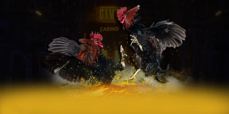 DAGA88 - Thương hiệu hấp dẫn được quan tâm nhất – Khám phá chương trình DAGA88