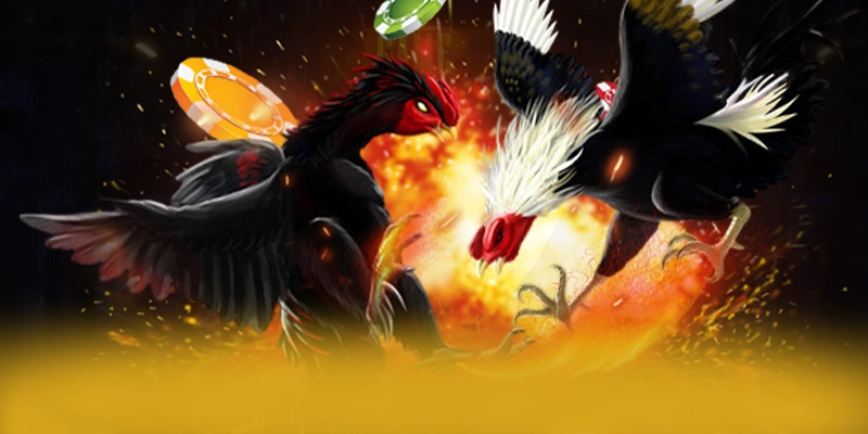 ĐÁ GÀ TRỰC TIẾP - Trang game cực hot được giới cược thủ đánh giá cao – Trải nghiệm ĐÁ GÀ TRỰC TIẾP