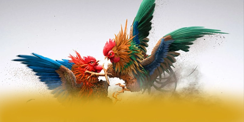 GO8 - Thương hiệu game trực tuyến mang đến trải nghiệm giải trí đỉnh cao hiện nay – Khám phá sản phẩm hấp dẫn của GO8