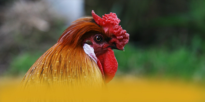 AU88 - Thương hiệu có nhiều event hấp dẫn hiện nay – Khám phá chính sách thưởng tại AU88