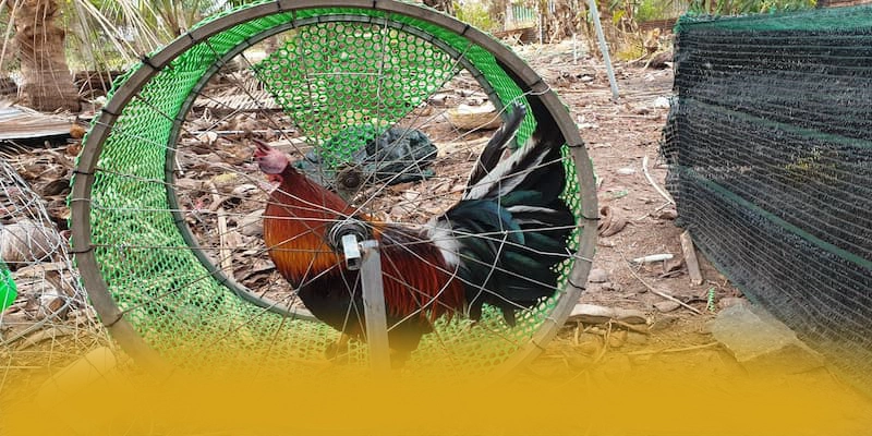 BL555 - Tổng quan về thương hiệu với góc nhìn khách quan. BL555 - Tổng quan về thương hiệu với góc nhìn khách quan.