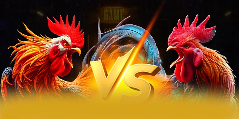 FB88 – Cổng game bài được tin dùng 2026